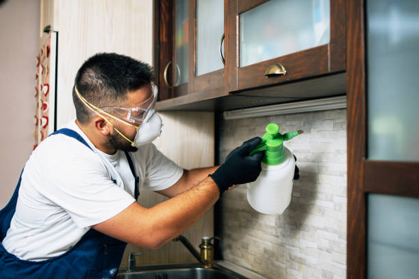 Best Best Pest Control Companies  in Three Rivers, OR