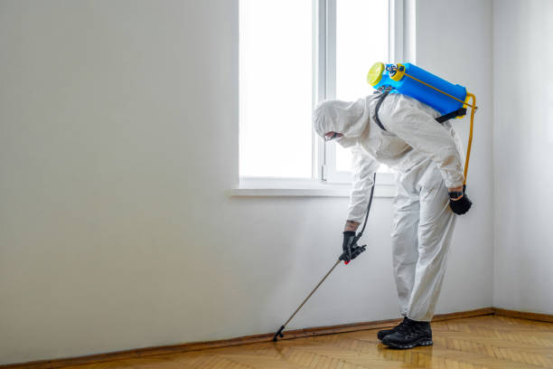 Best Flea Control Services  in Three Rivers, OR